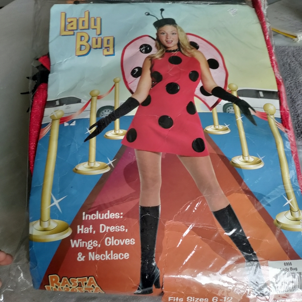 Ladybug adult Halloween costume